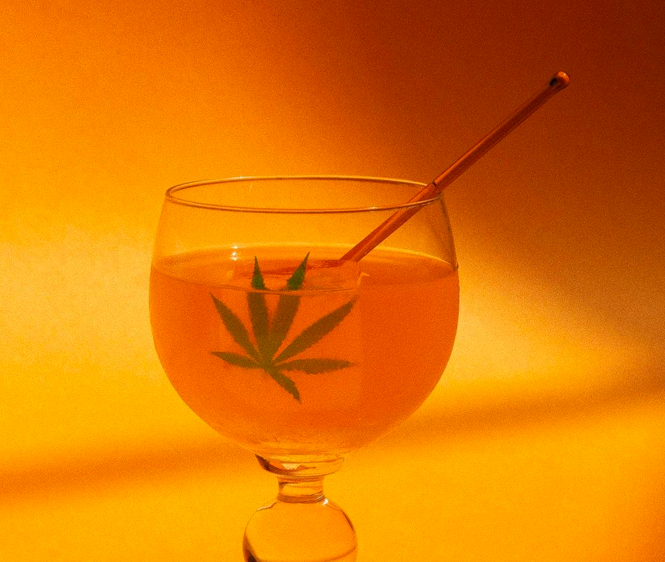 ALT on Broccoli Report Newsletter